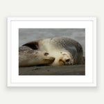 A2 wood frame (594 x 420mm print, 720 × 550mm frame)