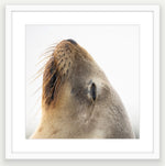 Premium white framed square wall art 50x50 and 40x40cm options, canvas available too.