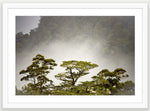 White frame