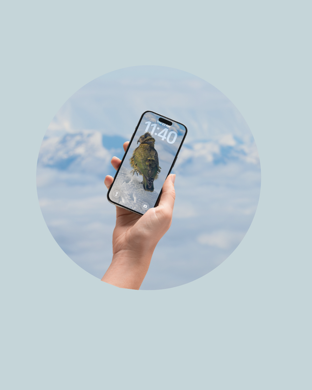 Wild Aotearoa New Zealand phone wallpapers for Android and iPhone lockscreen for instant download