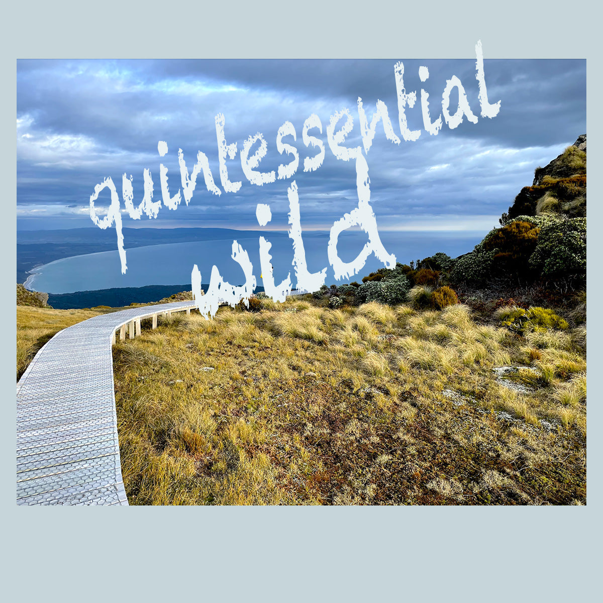 Aotearoa Wilderness