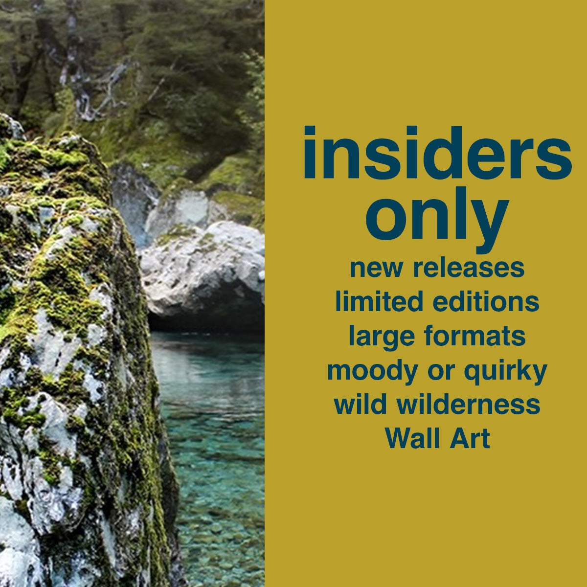 Subscribers sales, new releases, limited edition, clearance, wall art