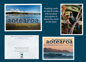 Greeting Card Bundle Six Pack celebrating Wellington - Blankwallnz