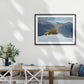 Tussock in Snow - Wall Prints - Tramping Art