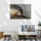 Mama kake, NZ sea lion art - Animal Wall Art