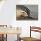 Mama kake, NZ sea lion art - Animal Wall Art