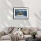 Tussock in Snow - Wall Prints - Tramping Art