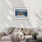 Tussock in Snow - Wall Prints - Tramping Art