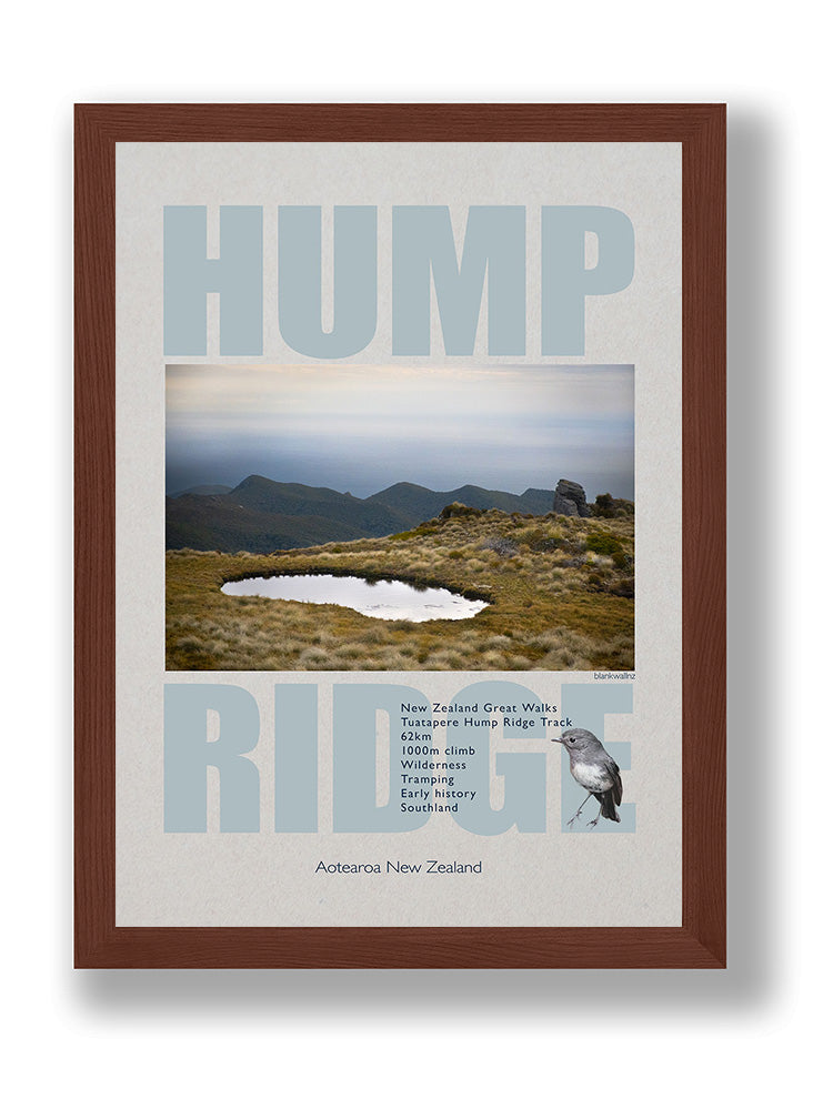 Hump Ridge poster