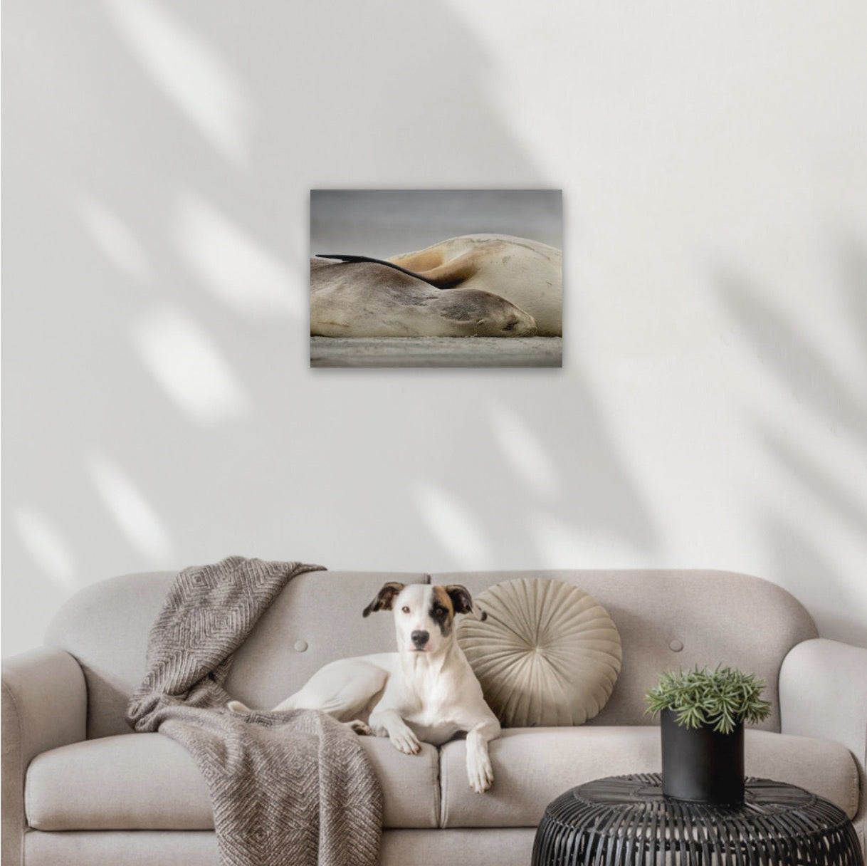 16"x24" Canvas 400x600mm (approx. A2 or 42x59.4cm)