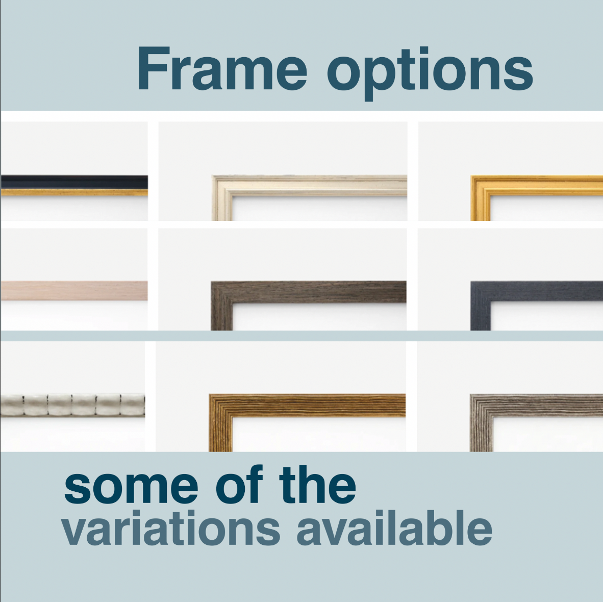 A promotional graphic showing multiple frame options under the heading 'Frame options' and with the note 'some of the variations available.' The image displays several picture frame samples in different colors and finishes, including black, white, gold, beige, brown, and gray, arranged in a grid on a pale blue and white background.