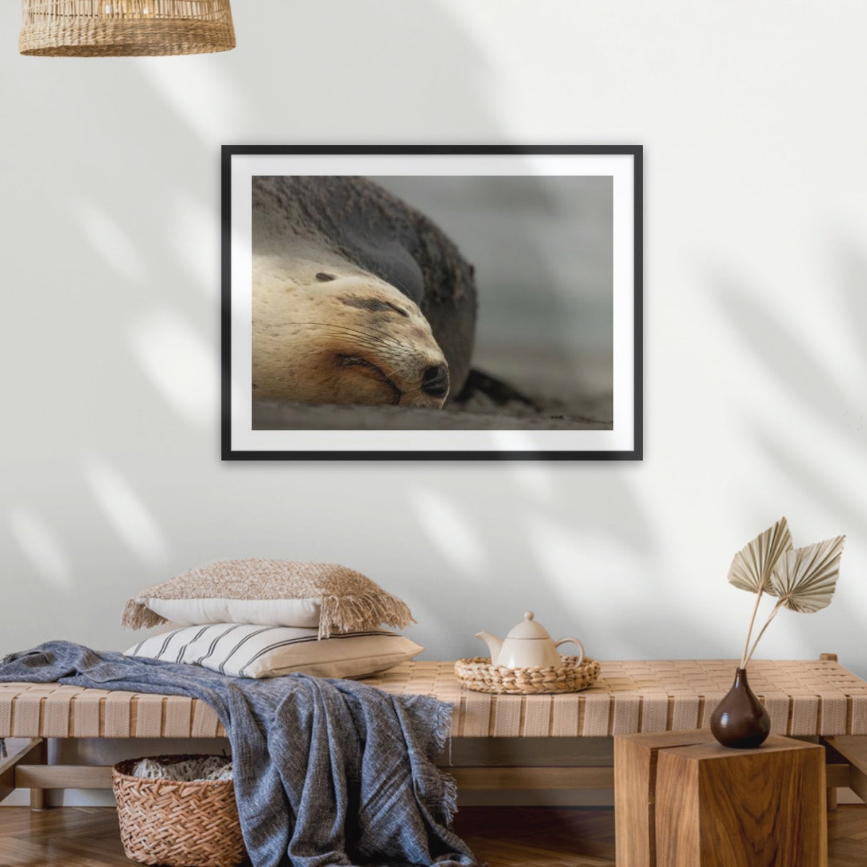 Big mama New Zealand sea lion, Ōtepoti Dunedin, warm silky browns and honey tones. Rare animal conservation vibes every day.