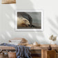 Big mama New Zealand sea lion, Ōtepoti Dunedin, warm silky browns and honey tones. Rare animal conservation vibes every day.