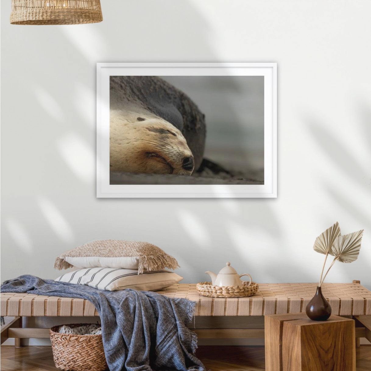 Big mama New Zealand sea lion, Ōtepoti Dunedin, warm silky browns and honey tones. Rare animal conservation vibes every day.