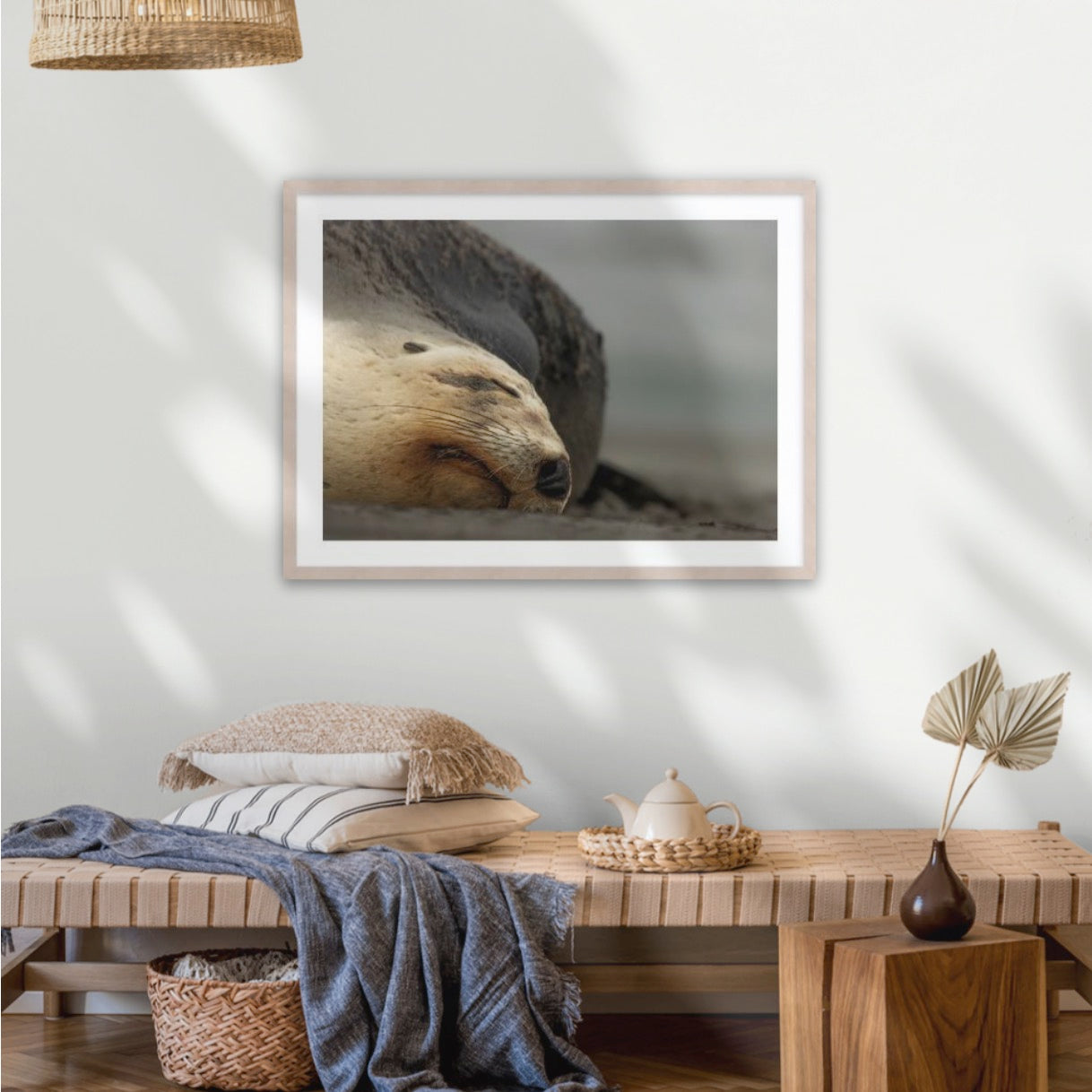 Big mama New Zealand sea lion, Ōtepoti Dunedin, warm silky browns and honey tones. Rare animal conservation vibes every day.