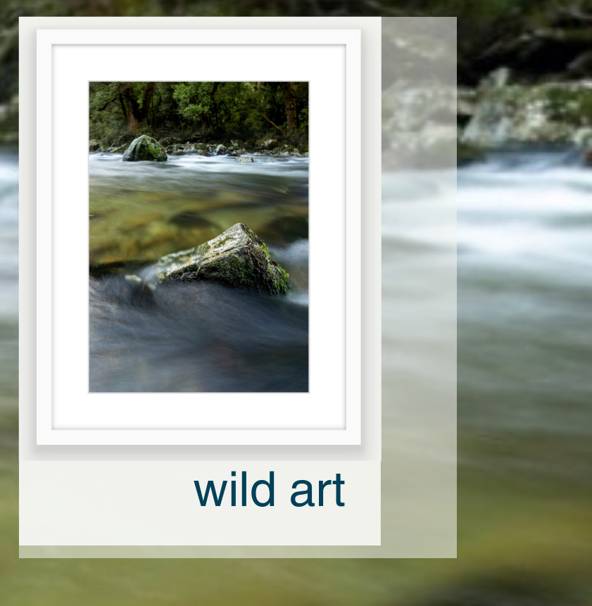 Blankwallnz framed art photography showing a river with mossy river rocks, displayed on a light beige background with the text 'wild art' below.