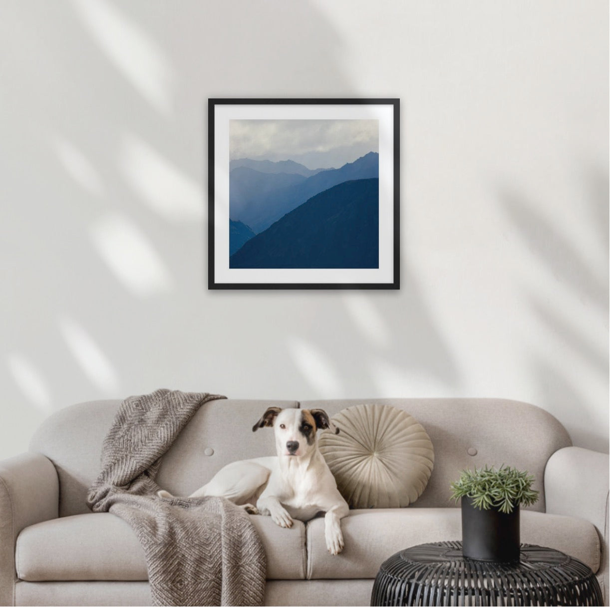 Black wood frame (500 x 500mm print, 630 × 630mm frame)