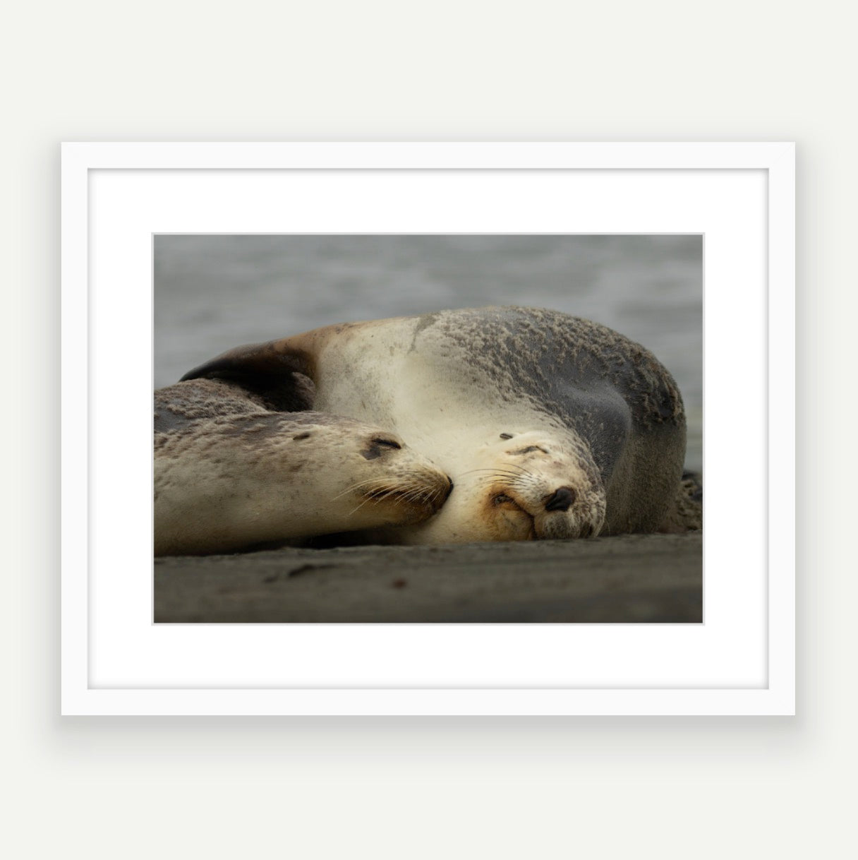 A2 wood frame (594 x 420mm print, 720 × 550mm frame)