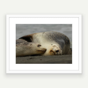 A2 wood frame (594 x 420mm print, 720 × 550mm frame)