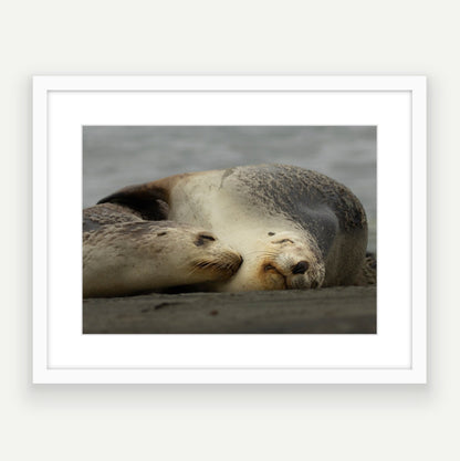 A2 wood frame (594 x 420mm print, 720 × 550mm frame)