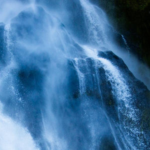 The Blue Waterbird celebrating the ethereal swirling waters of the Stirling Falls, Milford Sound in Aotearoa, New Zealand. Close up of the water bird Waimanu - Stirling falls