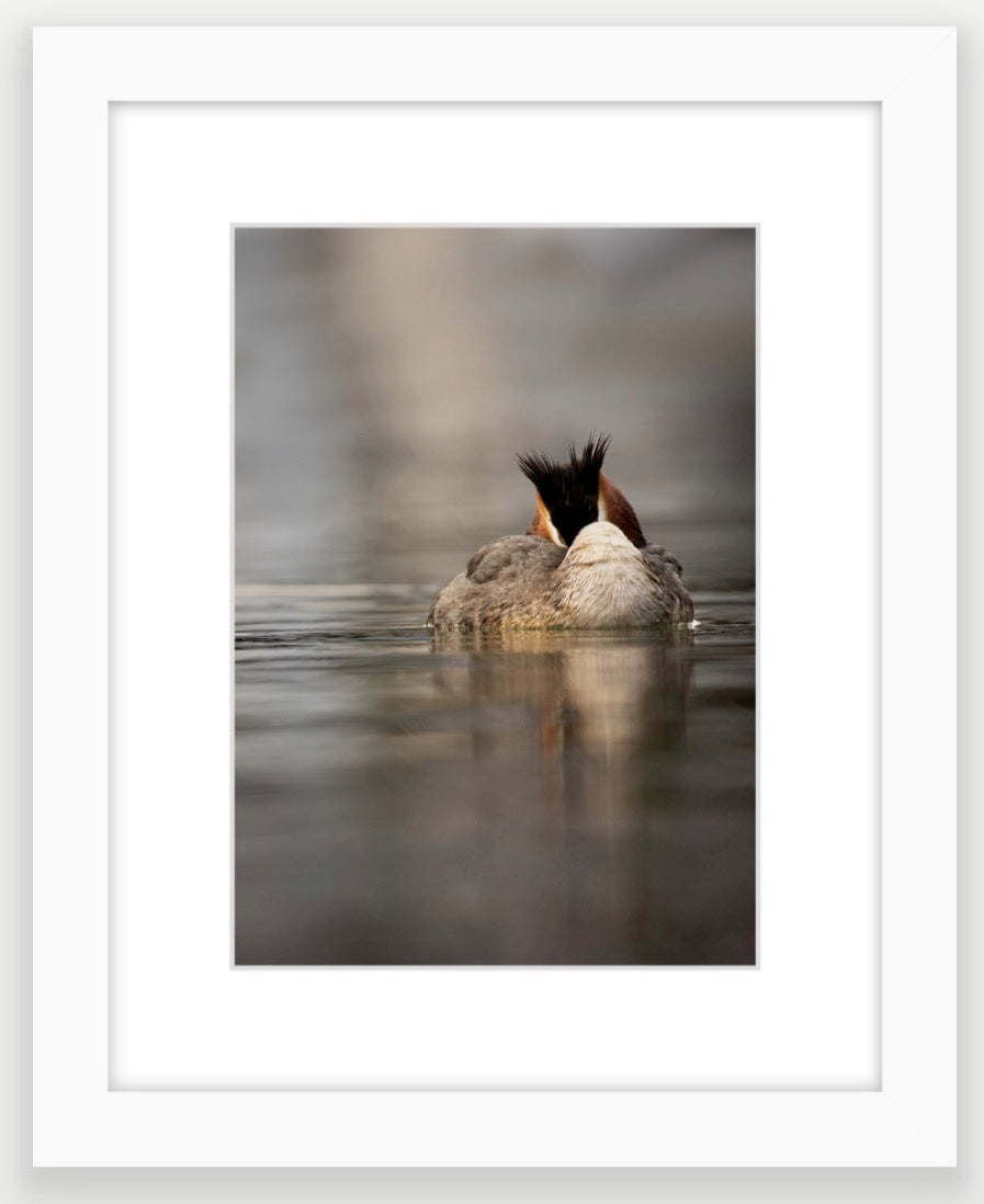 White wood frame. This is A4