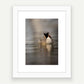 White wood frame. This is A4