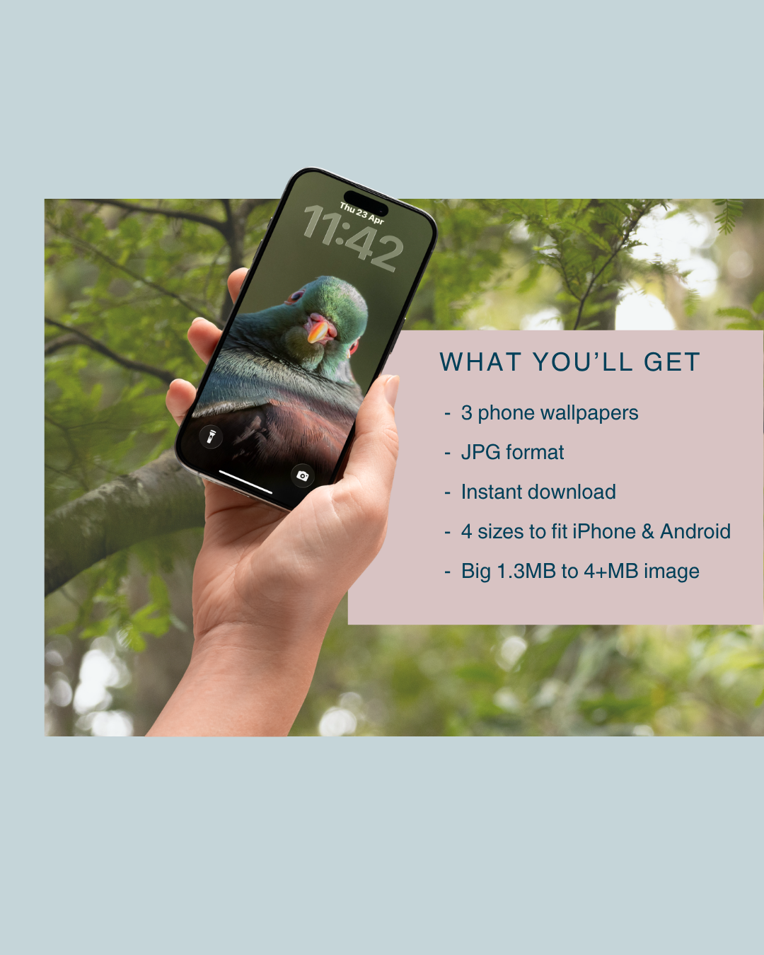 Three phone wallpapers, jpg format, instant download 4 sizes to fit iPhone and Android, big 1.3 to 4+ MG images