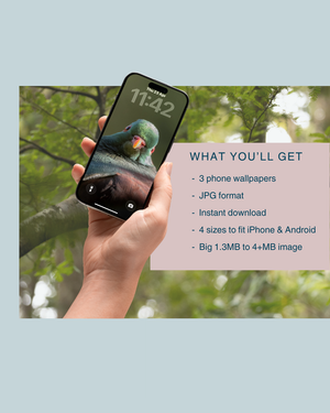 Three phone wallpapers, jpg format, instant download 4 sizes to fit iPhone and Android, big 1.3 to 4+ MG images