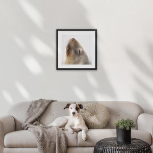 Wood frame (500 x 500mm print, 630 × 630mm frame)