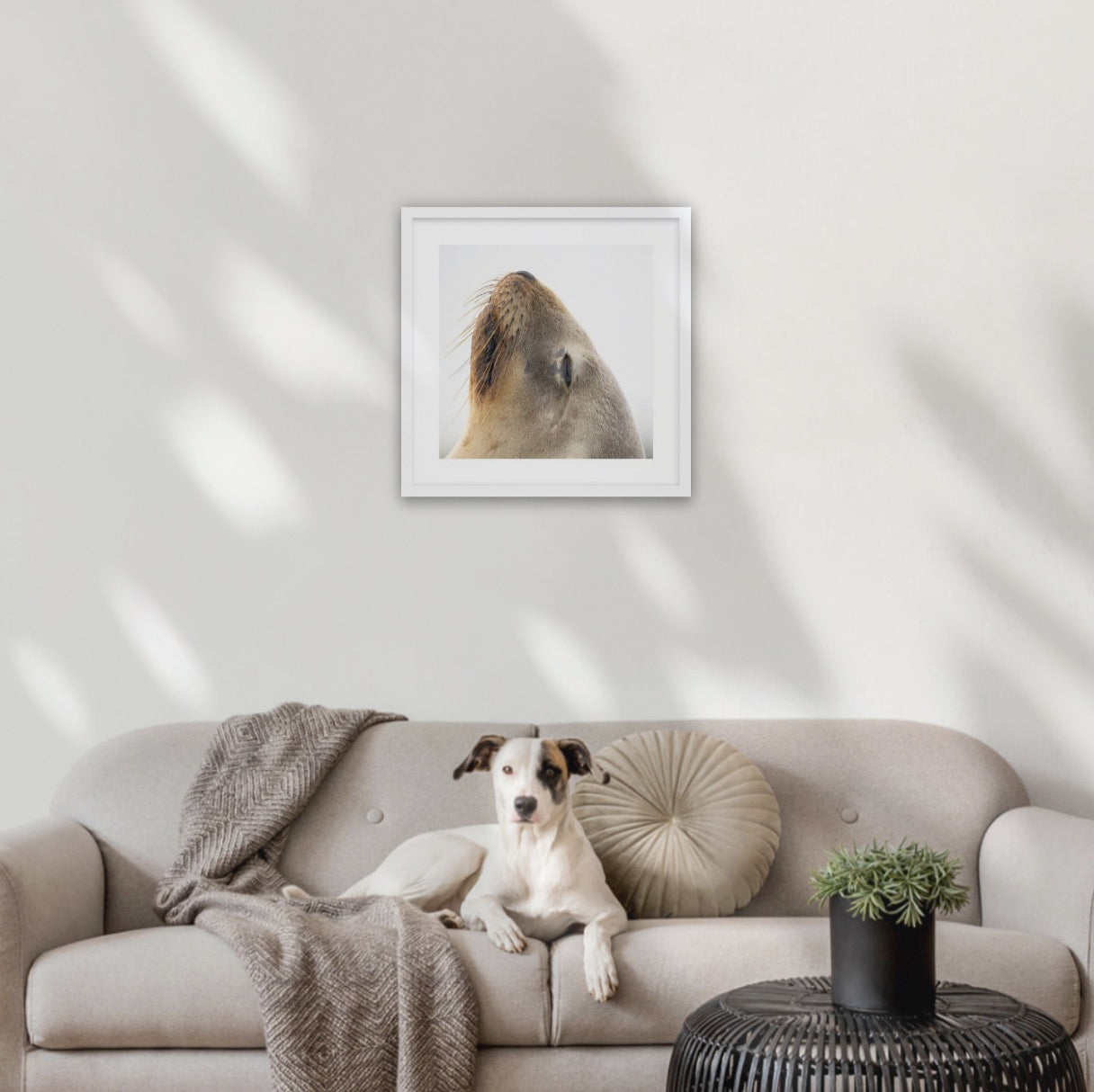Wood frame (500 x 500mm print, 630 × 630mm frame)