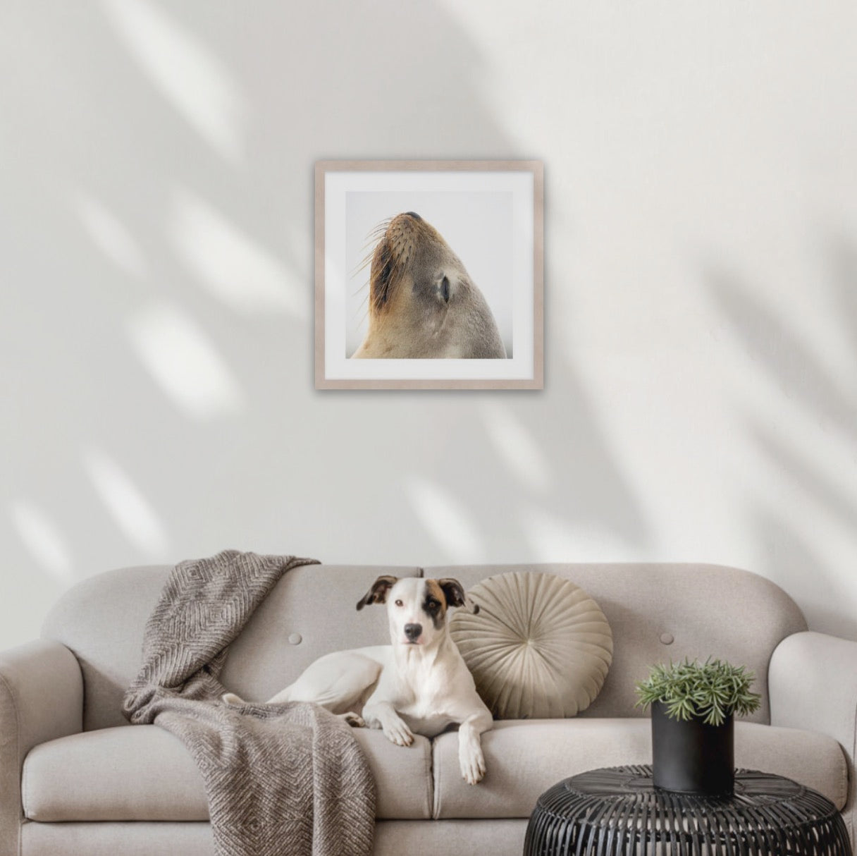 Wood frame (500 x 500mm print, 630 × 630mm frame)