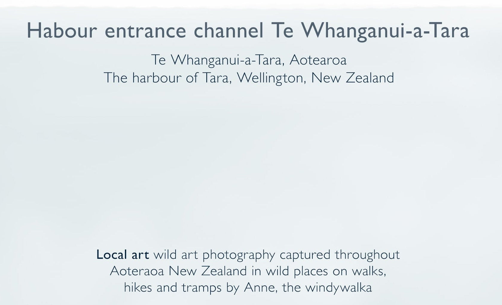 Greeting card back includes  location information, about the artist and more - blankwallnz