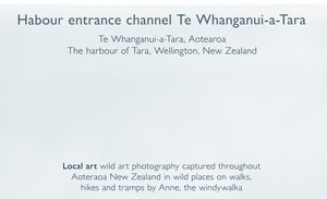 Greeting card back includes  location information, about the artist and more - blankwallnz