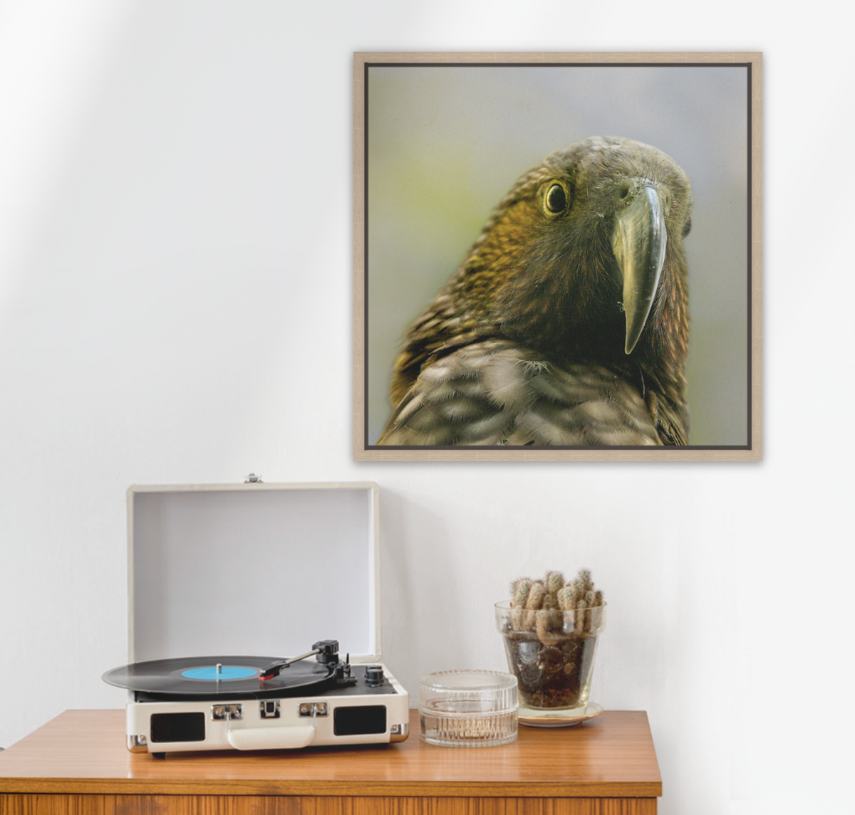 Canvas float frame - medium size wal art Hello Kaka by Blankwallnz