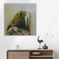 Kaka close up portrait square canvas medium sized. 
Awesome gift and the best price for budget conscious nature lovers.  Canvas without a frame fits any decor and is light and easy to move from home to flat and back.