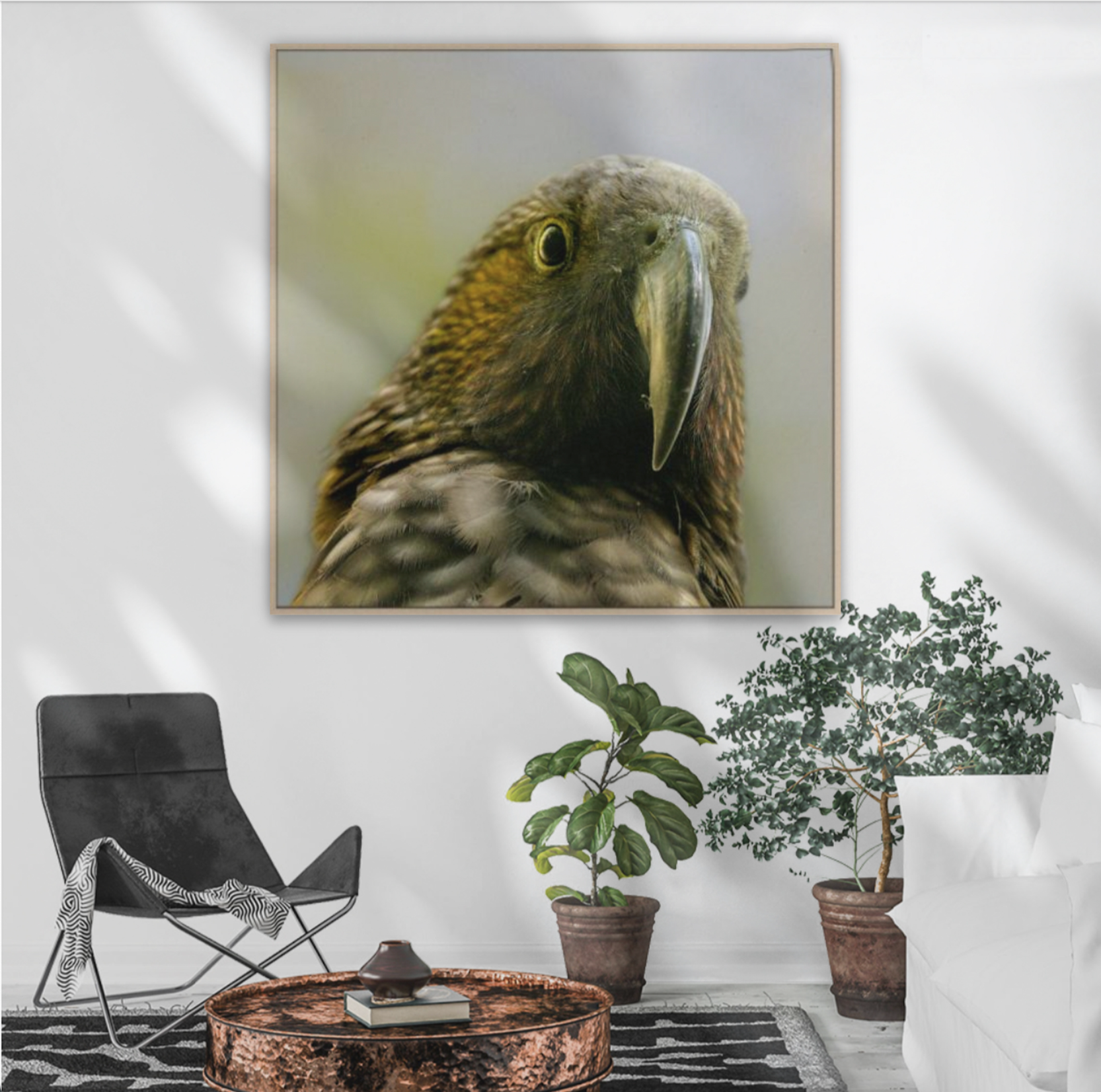 Framed artwork of a kaka on a wall in a conservatory living room with tropical plants