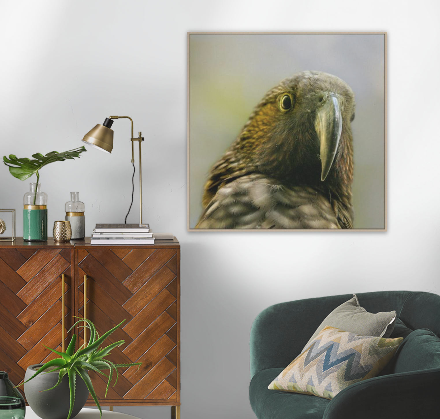 Float frame canvas art  kaka bird portrait on a wall above a wooden cabinet and green chair - shown approx. 60x60cm