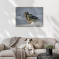 Canvas wood float frame of a kea in the snow on the wall in lounge room