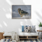 Framed artwork of a kea in snow on a white wall above a wooden bench with decorative pillows.