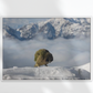 Parrot in snowy landscape with mountains in the background - A1 size (24x36 inch)