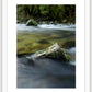 Fiordland river native bush and mossy rocks framed wall art 