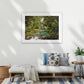 The unforgettable Mackay Falls are nestled in the Fiordland rainforest - Milford Track wilderness falls, Fiordland World Heritage Park, Aotearoa New Zealand A1 wood frame (841 × 594mm print, 970m × 720mm frame)