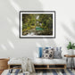 The unforgettable Mackay Falls are nestled in the Fiordland rainforest - Milford Track wilderness falls, Fiordland World Heritage Park, Aotearoa New Zealand.  A1 wood frame (841 × 594mm print, 970m × 720mm frame)