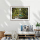 he unforgettable Mackay Falls are nestled in the Fiordland rainforest - Milford Track wilderness falls, Fiordland World Heritage Park, Aotearoa New Zealand  A1 wood frame (841 × 594mm print, 970m × 720mm frame)