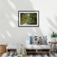 The unforgettable Mackay Falls are nestled in the Fiordland rainforest - Milford Track wilderness falls, Fiordland World Heritage Park, Aotearoa New Zealand. A2 wood frame (594 x 420mm print, 720 × 550mm frame)