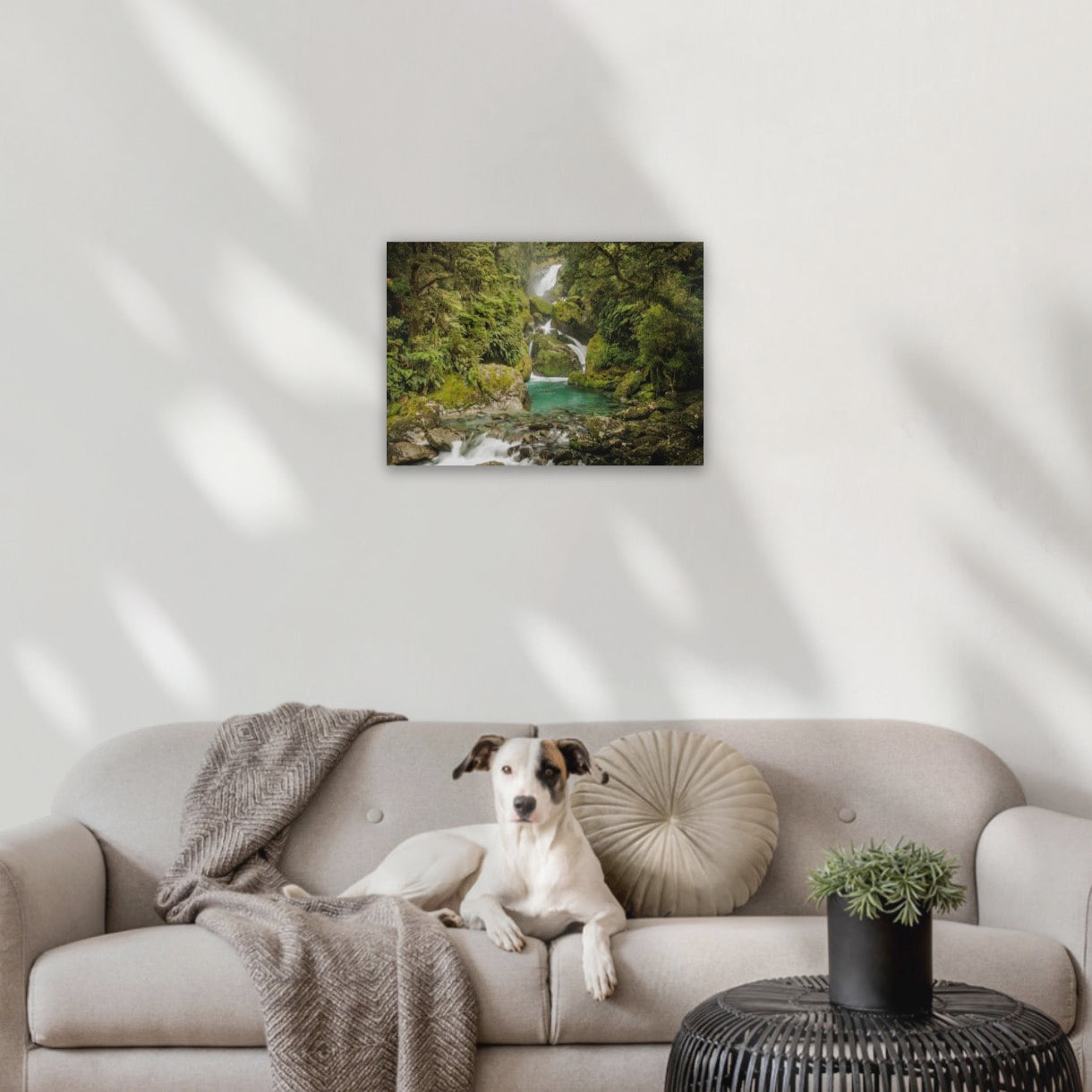 The unforgettable Mackay Falls are nestled in the Fiordland rainforest - Milford Track wilderness falls, Fiordland World Heritage Park, Aotearoa New Zealand 16"x24" Canvas 400x600mm (approx. A2 or 42x59.4cm)
