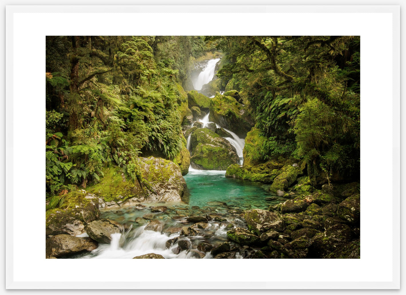 The unforgettable Mackay Falls are nestled in the Fiordland rainforest - Milford Track wilderness falls, Fiordland World Heritage Park, Aotearoa New Zealand. White frame size A1.