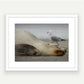 White framed wall art