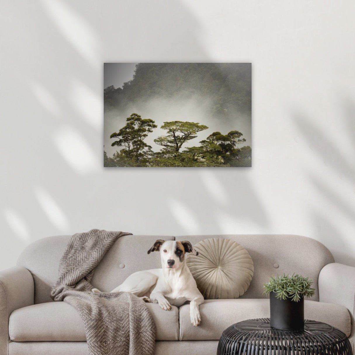 24"x36" Canvas 600x900mm (approx. A1 or 59.4x84cm)
